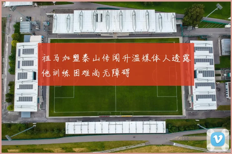 祖马加盟泰山传闻升温媒体人透露他训练困难尚无障碍